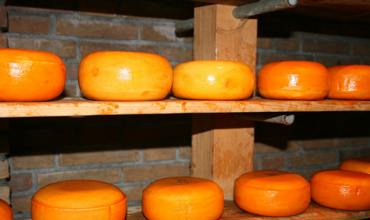 Freshness and expiration