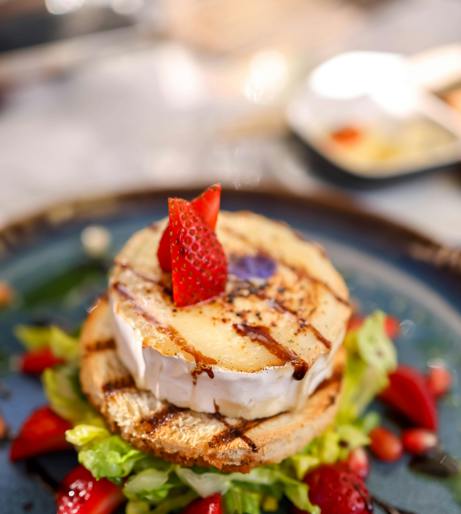 Goat cheese overview