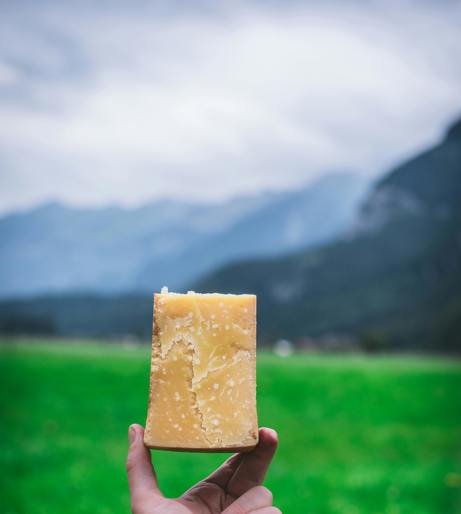 Cheese pairing overview