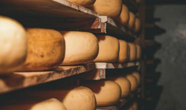 Cheese and fruit pairing