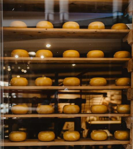 Cheese Long overview