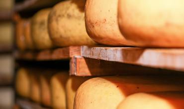 Pairing Swiss Cheese