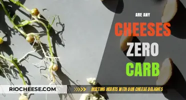 Exploring the Low-Carb Cheese Options: Are Any Cheeses Zero Carb?