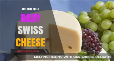 Exploring the Delicious World of Baby Swiss Cheese