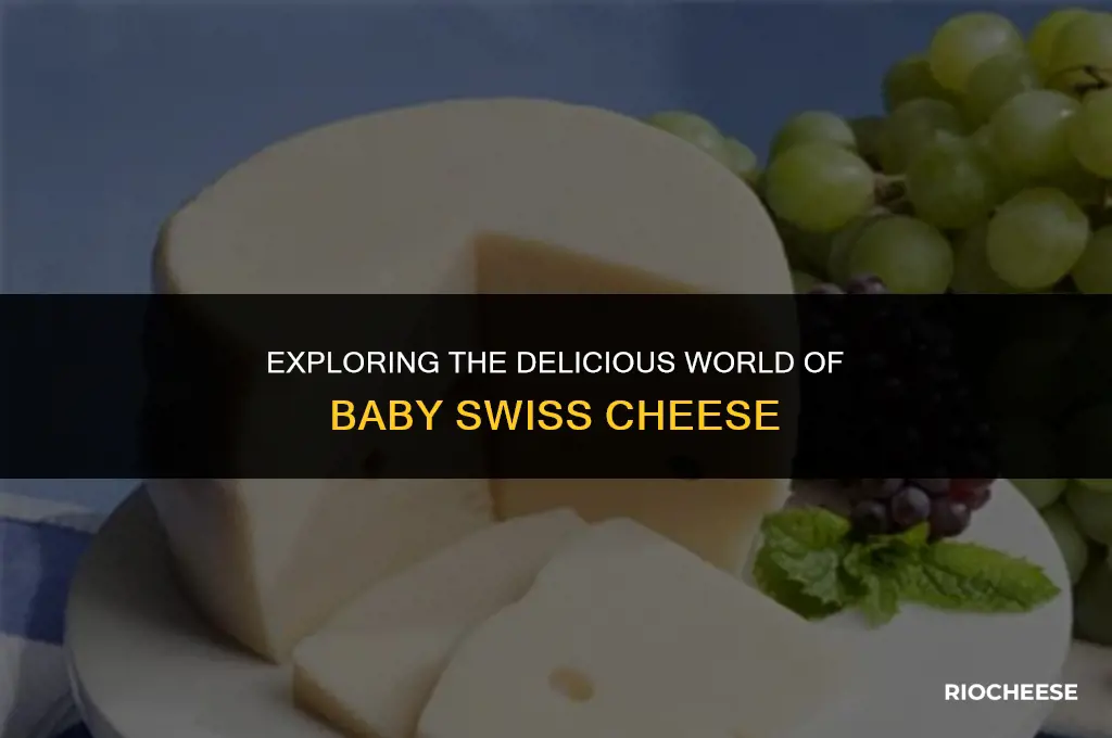 are baby bells baby swiss cheese
