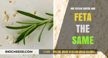 Exploring the Differences: Cotija vs. Feta Cheese - A Taste Comparison