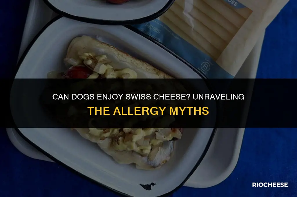 are dogs allergic to swiss cheese