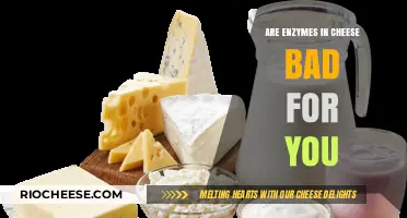 Unraveling the Truth: Are Enzymes in Cheese Harmful to Your Health?