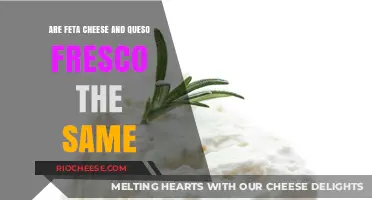 Exploring Dairy Delights: Feta vs. Queso Fresco - A Taste Comparison