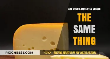 Unraveling the Mystery: Gouda vs. Swiss Cheese Explained