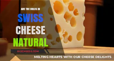 The Natural Mystery of Swiss Cheese Holes: Unveiled