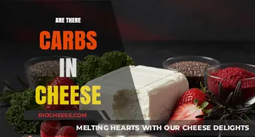 Unraveling the Mystery: Carbs in Cheese Explained