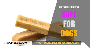 Can Dogs Enjoy Yak Cheese Chews Safely?