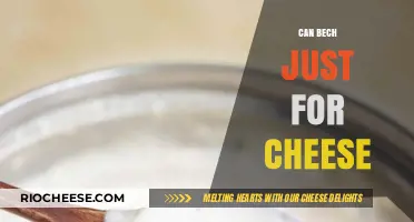 Savoring Simplicity: Bechamel's Perfect Pairing with Cheese