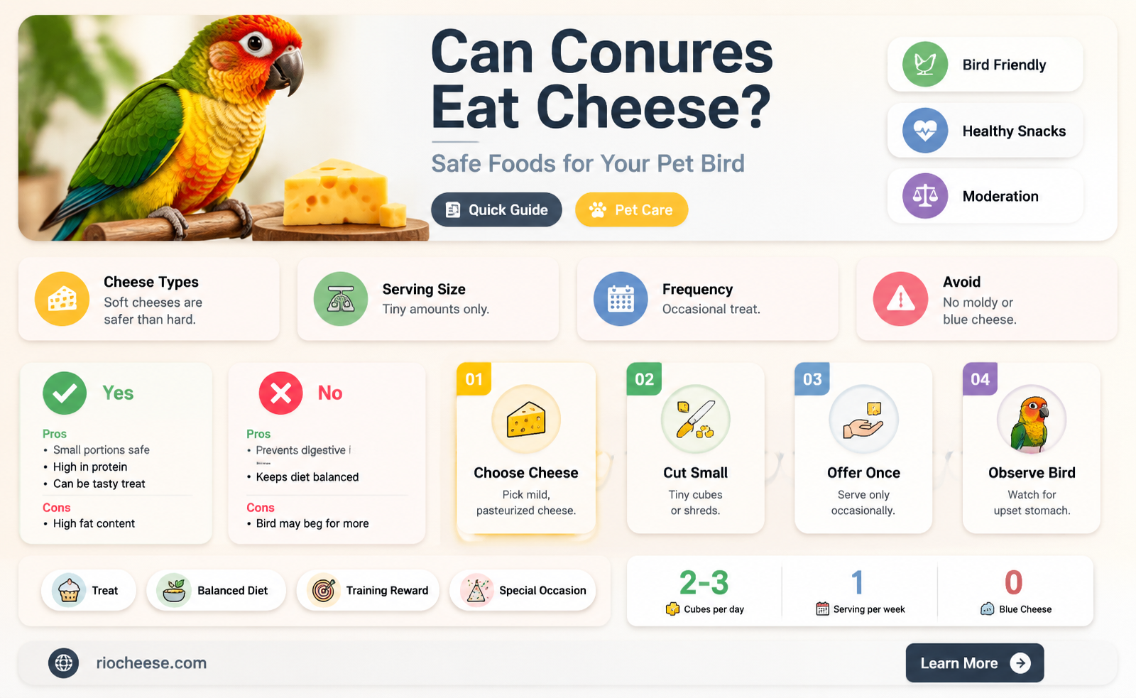 can conures eat cheese