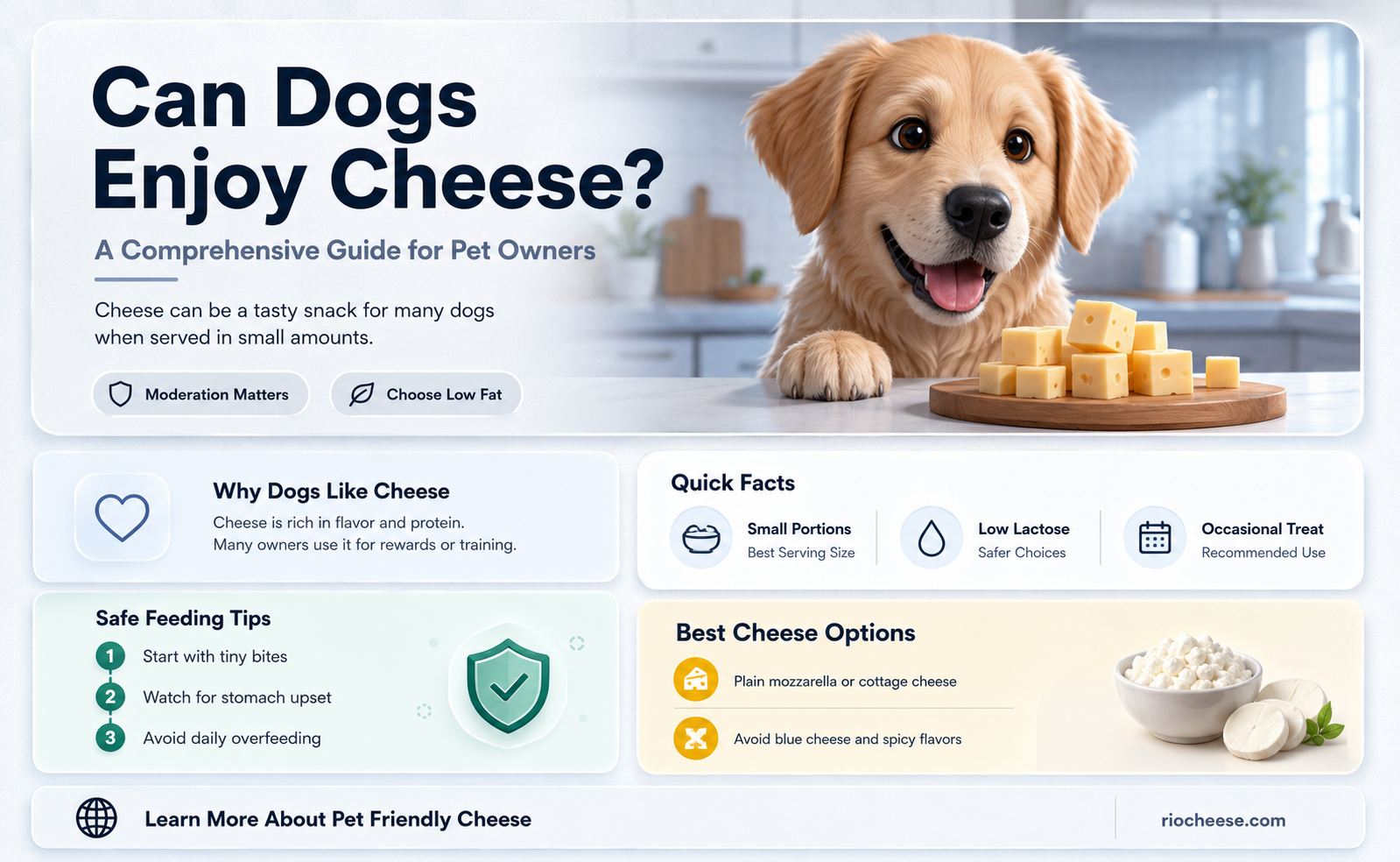is cheese good for digs