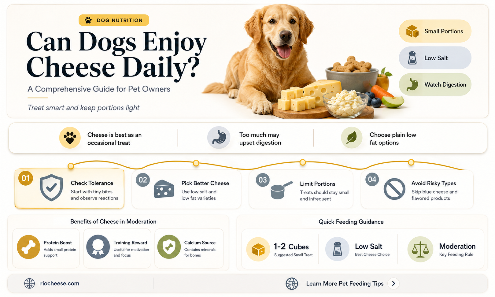 is cheese good for dogs everyday