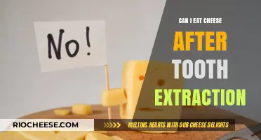 Dairy Dilemma: Is Cheese Safe After Tooth Extraction?