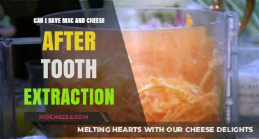 Comfort Food Cravings: Mac and Cheese After Tooth Extraction?