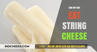 Can My Dog Eat String Cheese? A Comprehensive Guide for Pet Owners