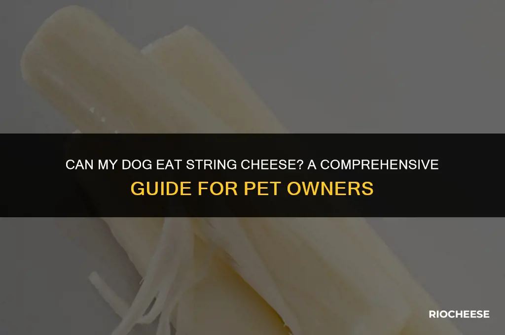 can my dog eat string cheese