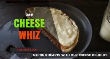 Unleashing Creativity: The Surprising Uses of Cheese Whiz