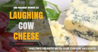 Expecting Moms: Is Laughing Cow Cheese Safe During Pregnancy?