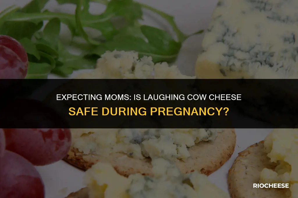 can pregnant women eat laughing cow cheese