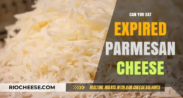 Parmesan Past Its Prime: A Guide to Handling Expired Cheese