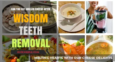 Grilled Cheese Delights: A Guide to Post-Wisdom Teeth Removal Snacking