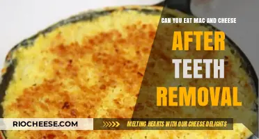 Post-Op Comfort Food: Is Mac and Cheese Safe After Teeth Removal?