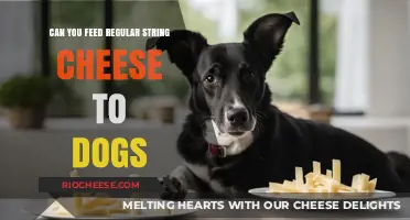 Can You Feed Regular String Cheese to Dogs?