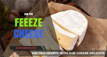 The Surprising Truth About Freezing Cheese: A Complete Guide