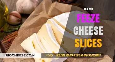 The Ultimate Guide to Freezing Cheese Slices: Tips and Tricks