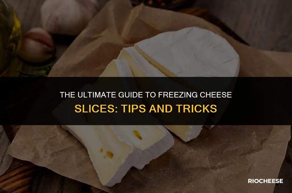 can you feeze cheese slices
