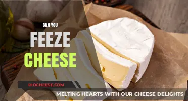 The Surprising Truth About Freezing Cheese: A Complete Guide