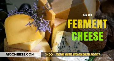 Exploring the Art of Cheese Fermentation: A Beginner's Guide