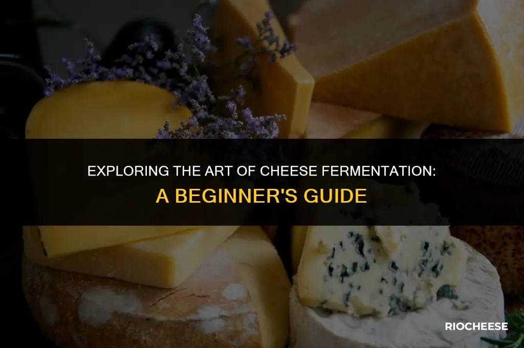 can you ferment cheese