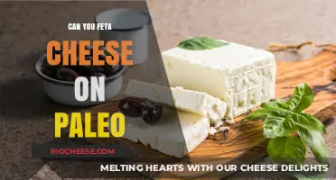 Exploring Paleo: Is Feta Cheese a Compatible Choice?