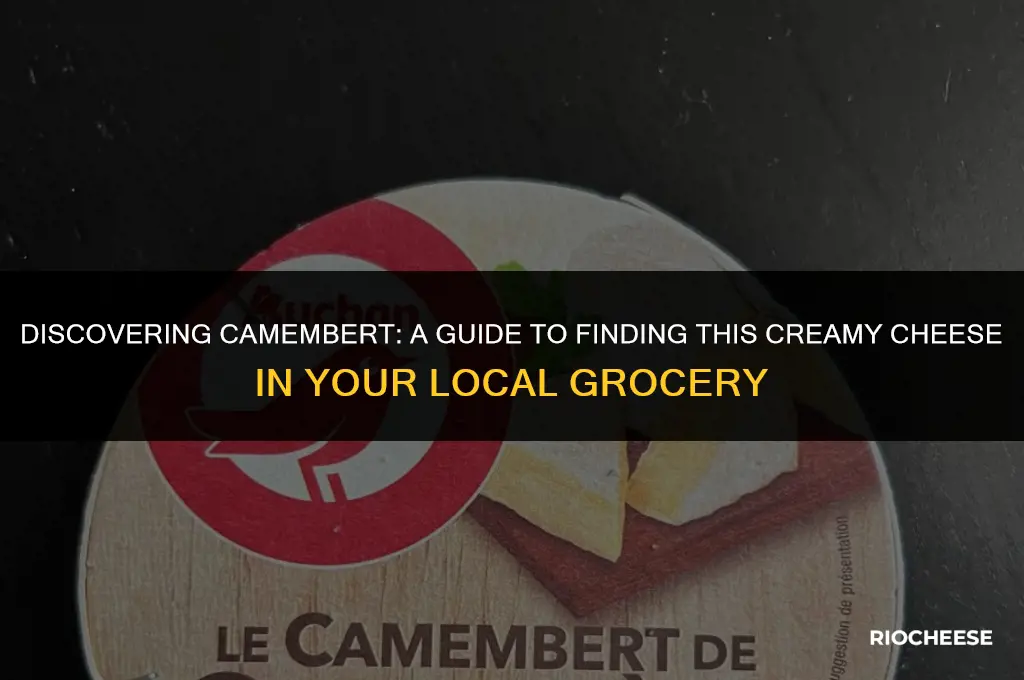 can you find camembert cheese in grocery
