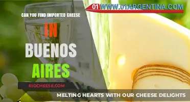 Discovering Imported Cheese Delights in Buenos Aires