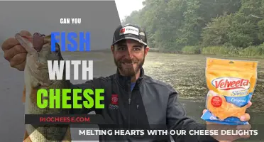 The Surprising Truth: Can You Really Catch Fish with Cheese?