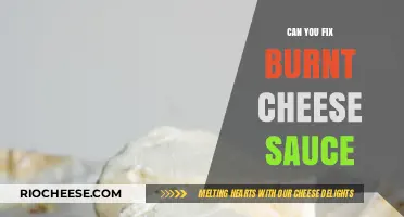 Salvaging Burnt Cheese Sauce: Tips and Tricks for a Creamy Comeback