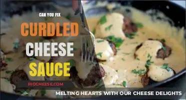 Reviving Curdled Cheese Sauce: Tips and Tricks for a Smooth Fix