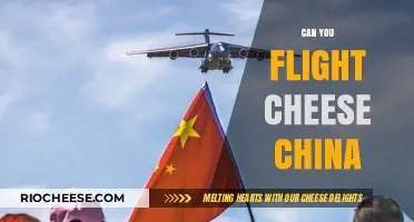 Navigating the Nuances: Can You Really Fly Cheese to China?