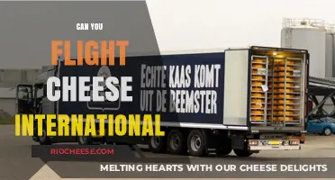 Navigating Global Cheese Transport: A Guide to International Flight
