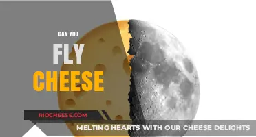 The Curious Case of Flying Cheese: A Culinary Myth Busted