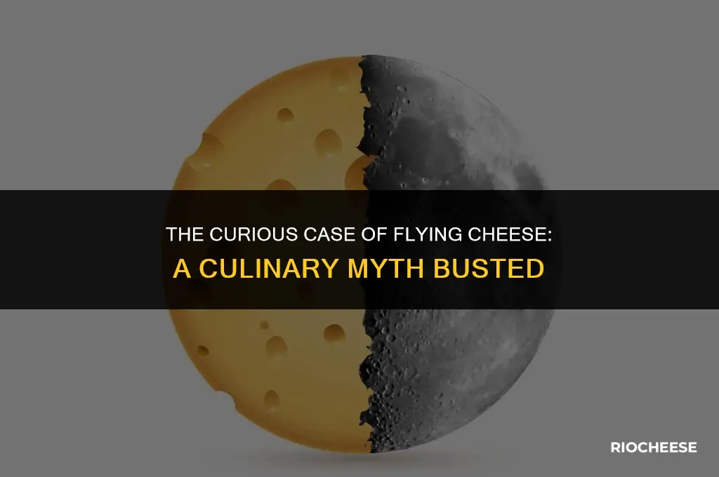 can you fly cheese