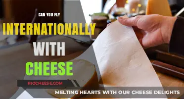 Cheesy Travels: Navigating International Flights with Your Favorite Dairy