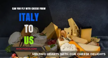 Navigating the Skies with Italian Cheese: A Traveler's Guide